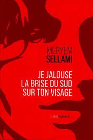 je jalouse la brise du sud sur ton visage-meryem sellami